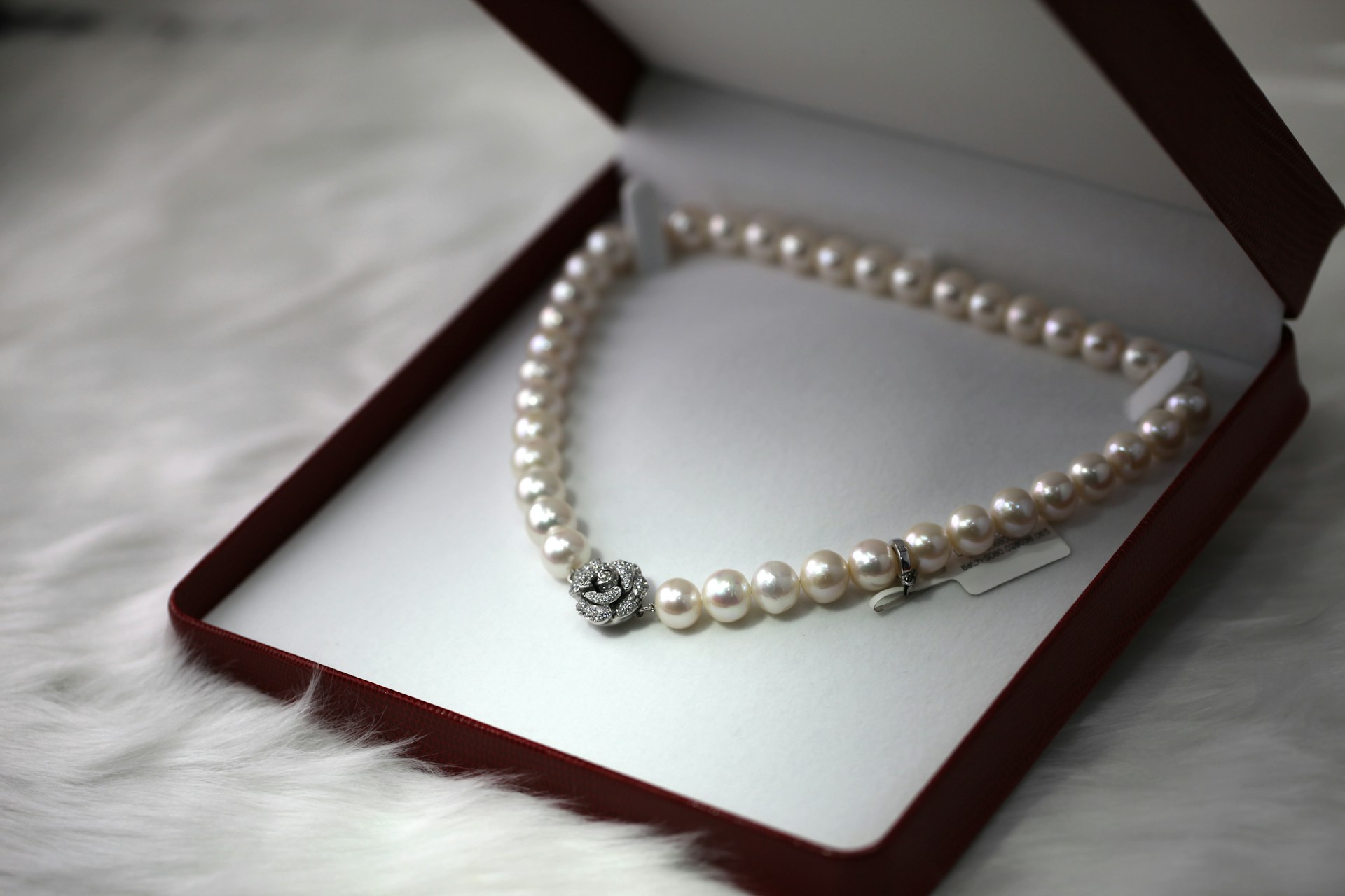 Avesta Solstice High Jewelry Campaign Silhouette